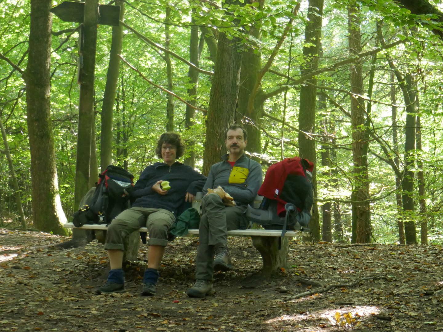 Mittagspause auf einer Bank im Wald.