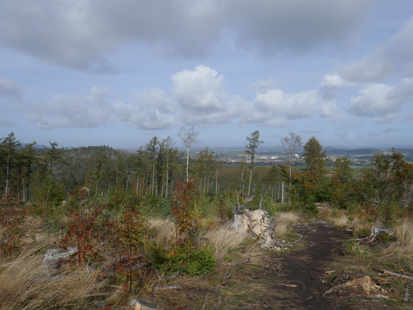Auf der Lippischen Velmerstot.
