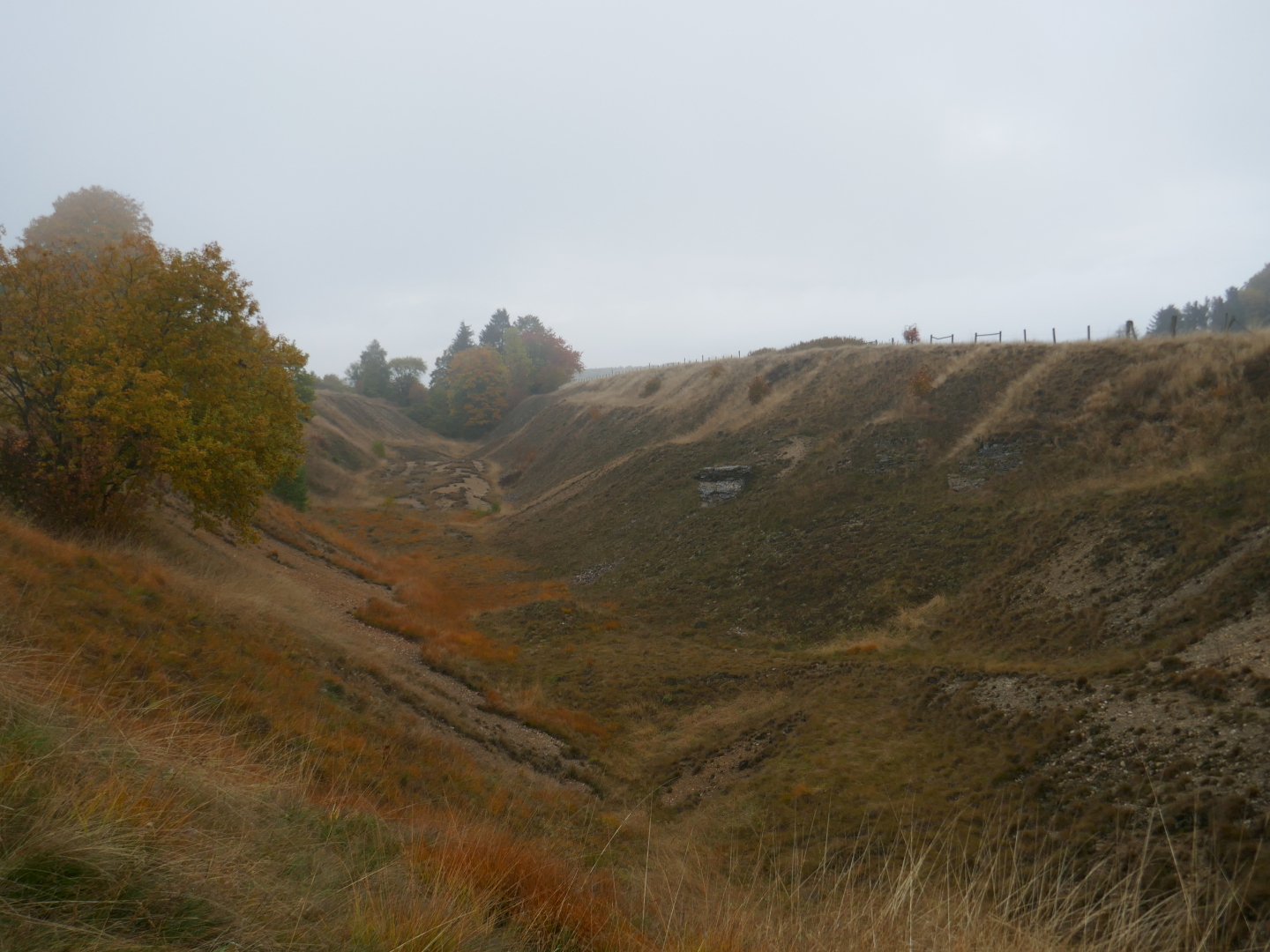 Die alte Bleikuhle und das darin endemische Galmei-Veilchen.