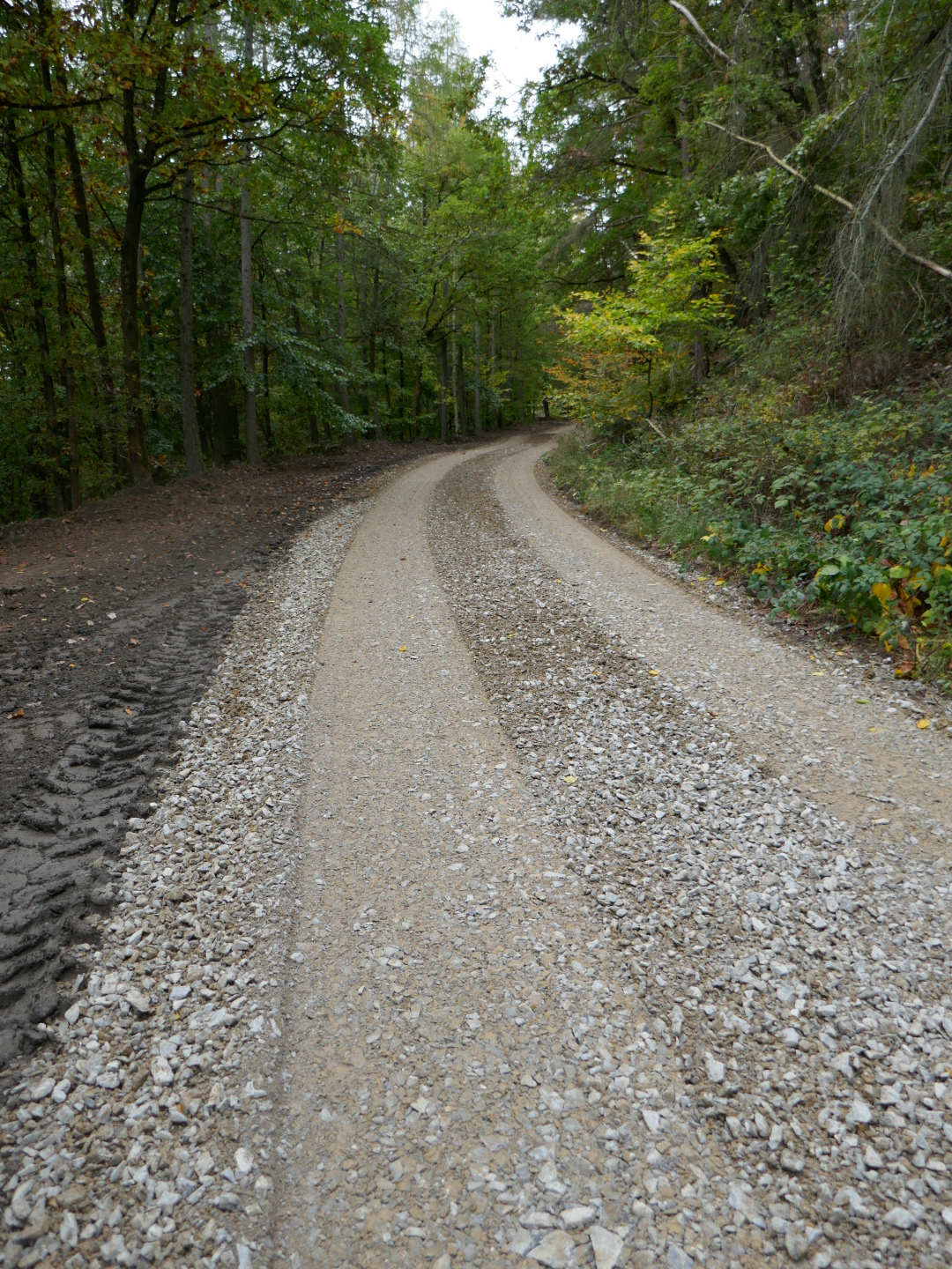 Frisch gehobelter Waldweg. So entstehen Waldautobahnen.