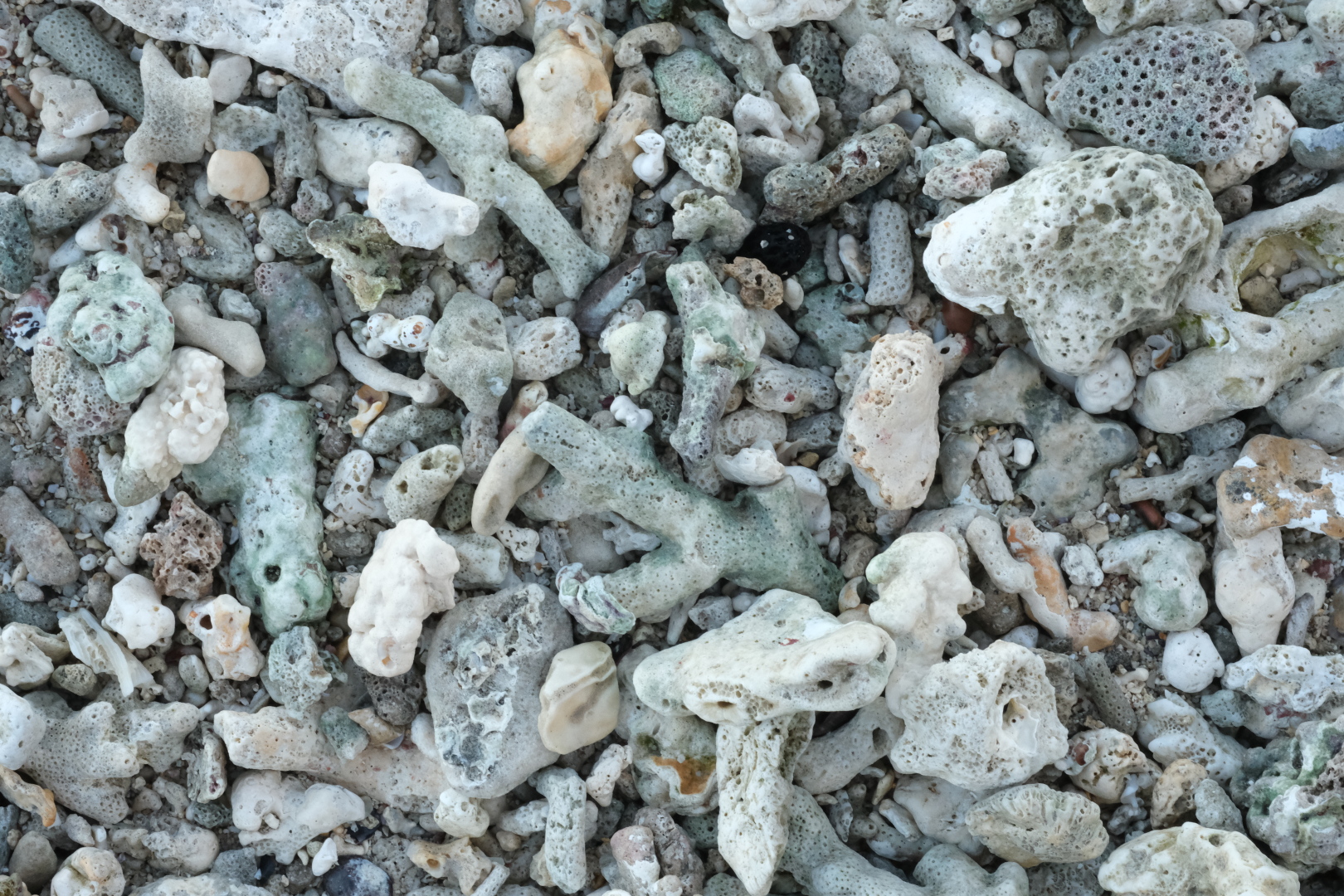 Der Strand ist übersäht mit Bruchstücken von Korallen. Bei Ebbe werden Teile des Riffs sichtbar. Außerhalb des Riffs kann man angeln und tauchen. 