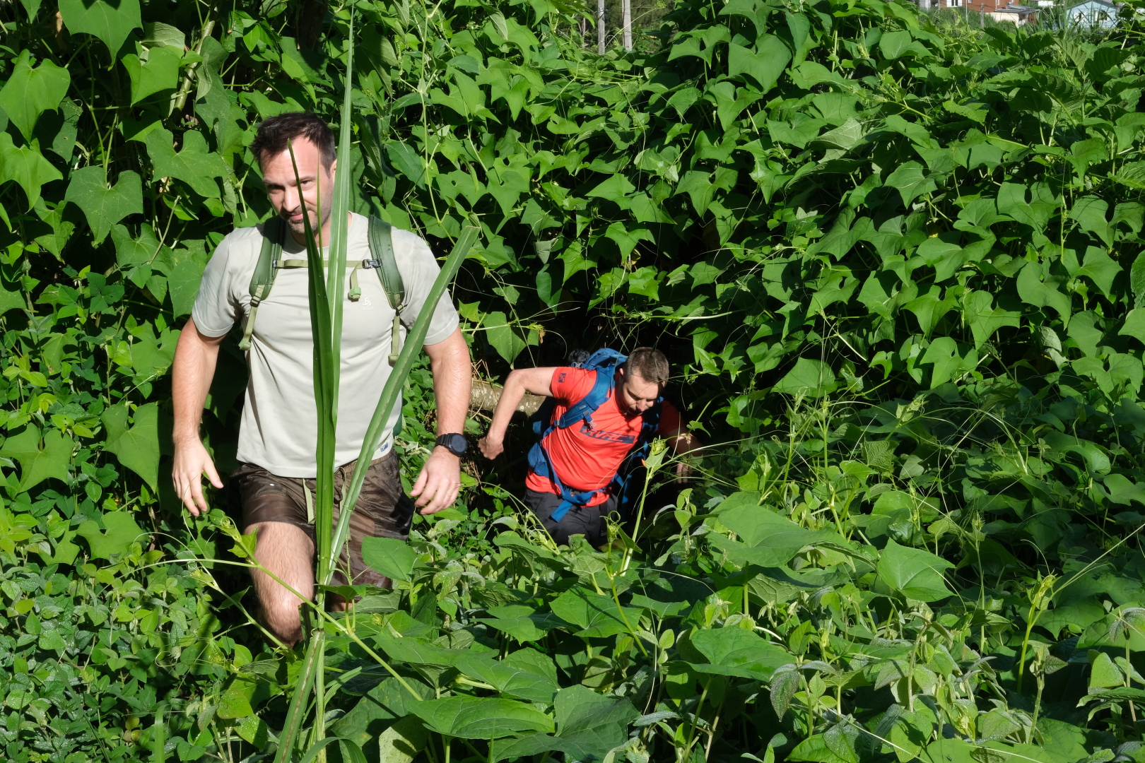 Der Weg? Welcher Weg?