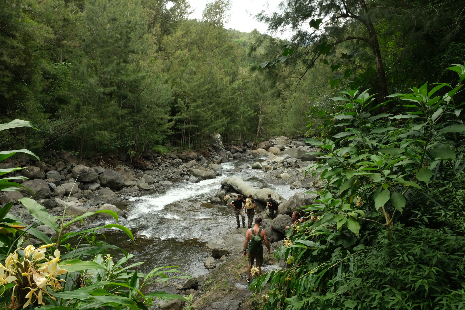 Am Rivière du Mât.