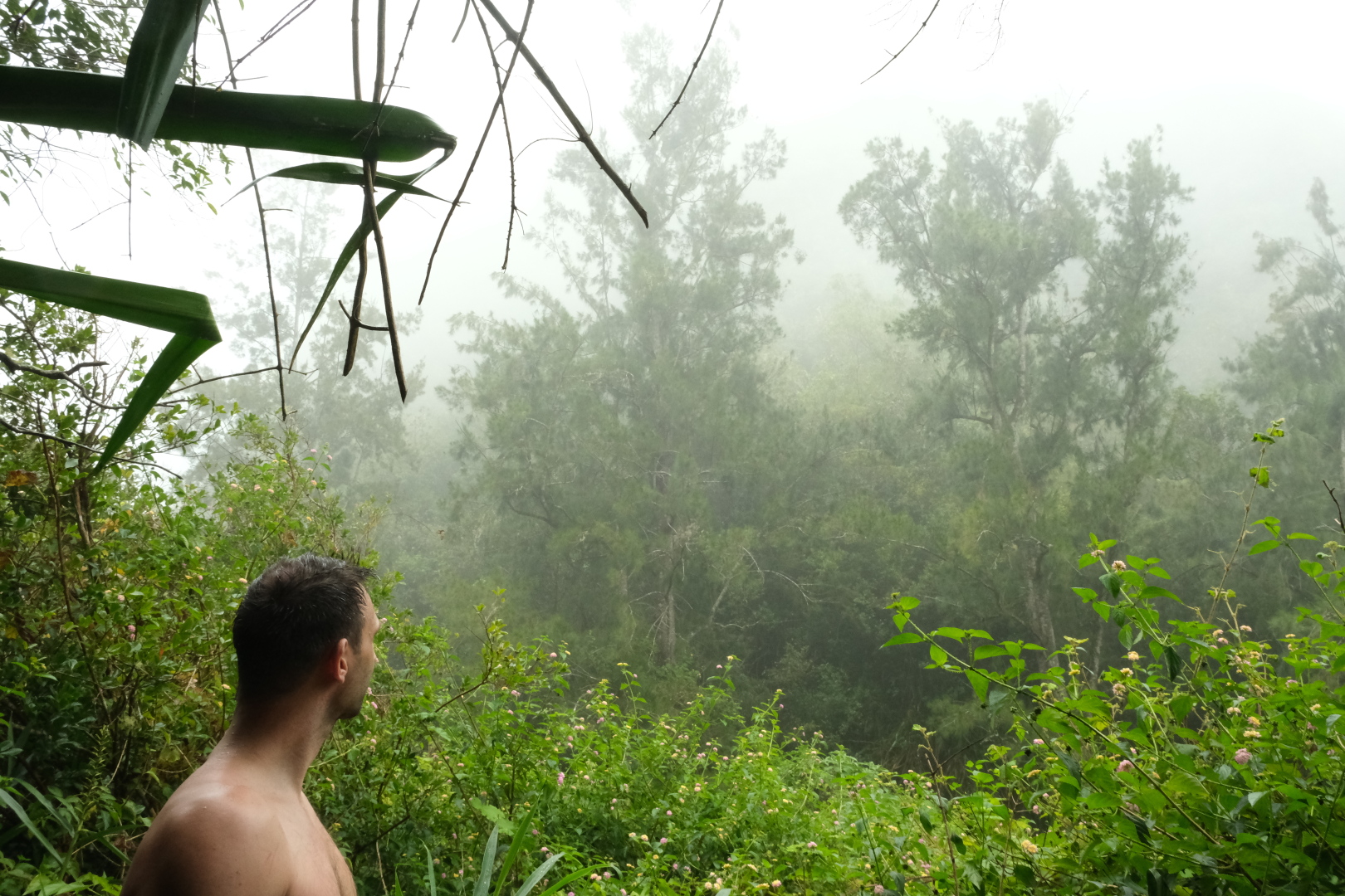 Vincent betrachtet den Regenwald von Salazie.