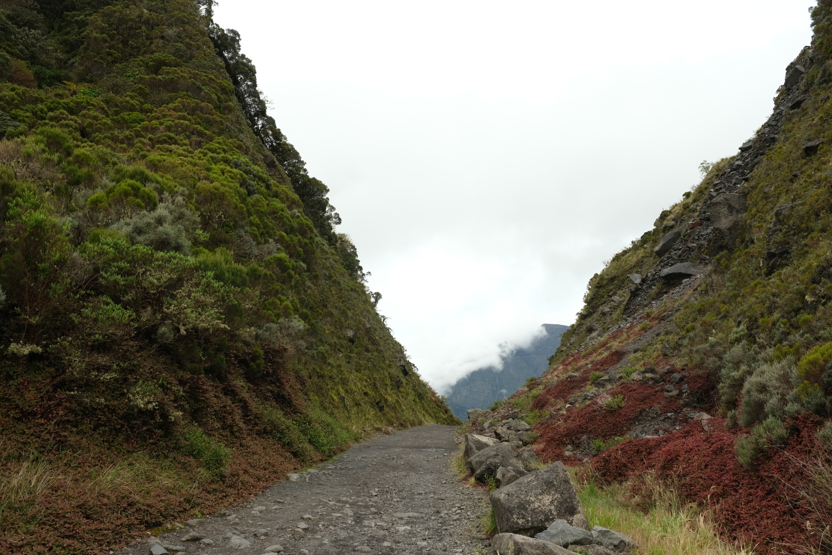 Der Col des B&oelig;ufs.