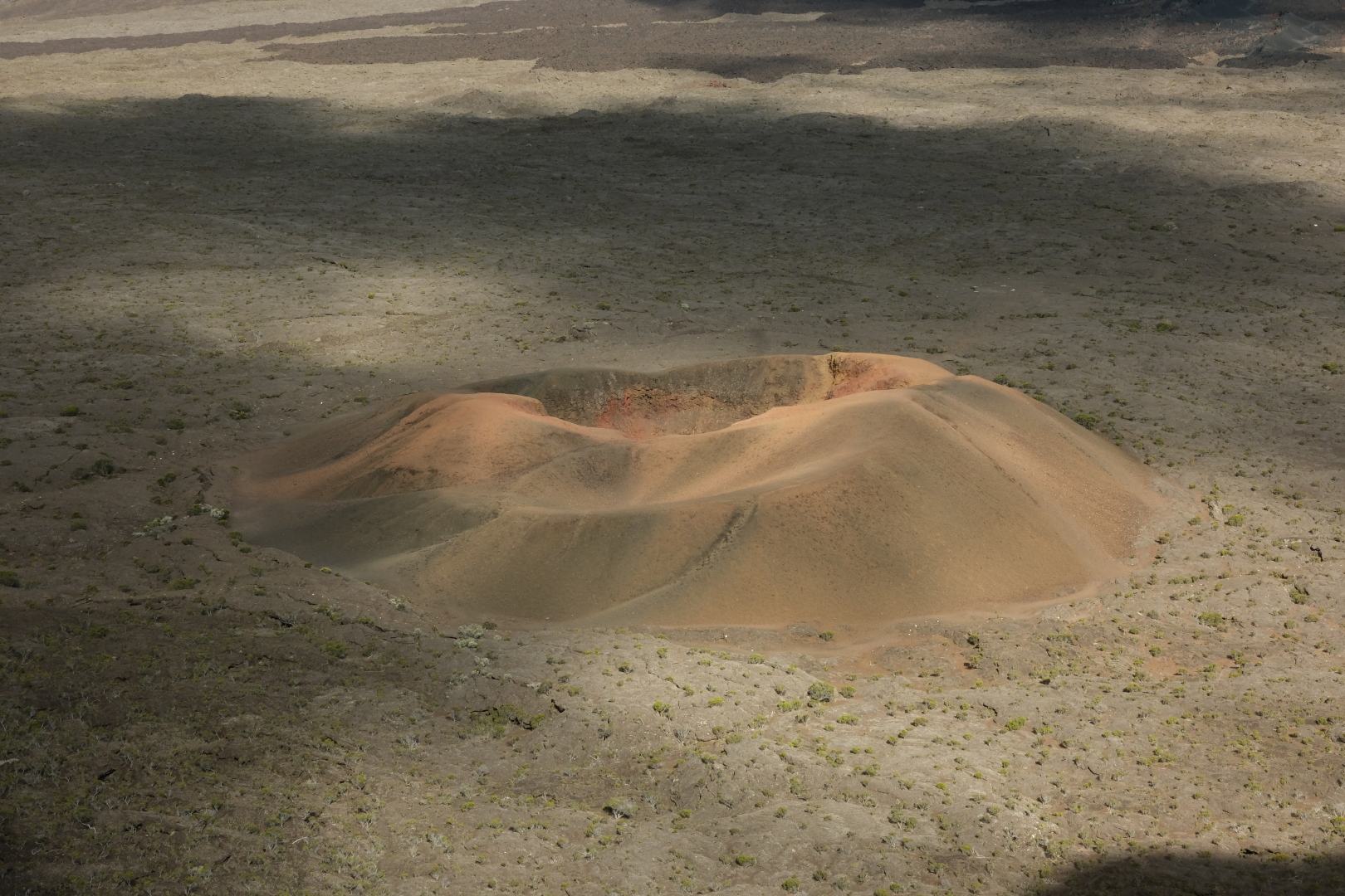 In der Abendsonne sieht der Formica Leo rotbraun aus; morgens war er schwarz.