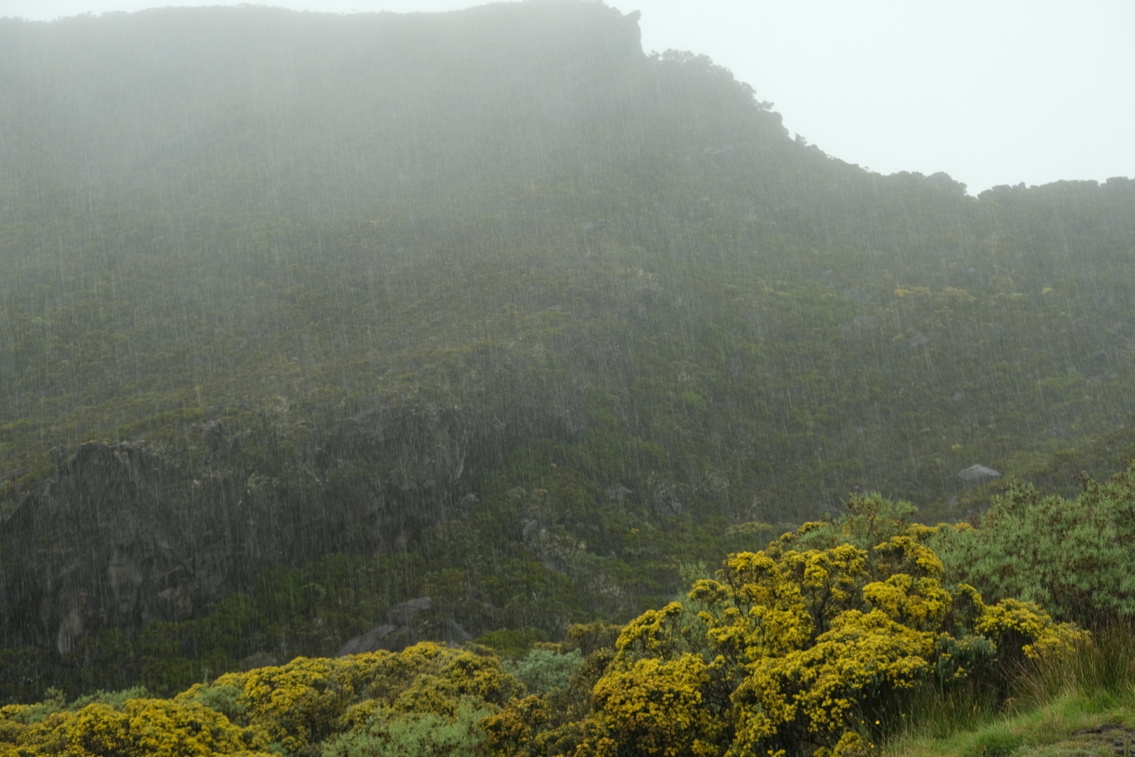 Es regnet. Mit allen Vor- und Nachteilen.
