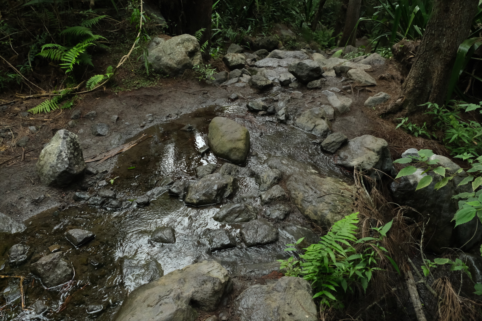 Unser Staudamm. Geht ja nicht an, dass das Wasser einfach so weiter auf dem Weg fließt (nach hinten rechts)! 