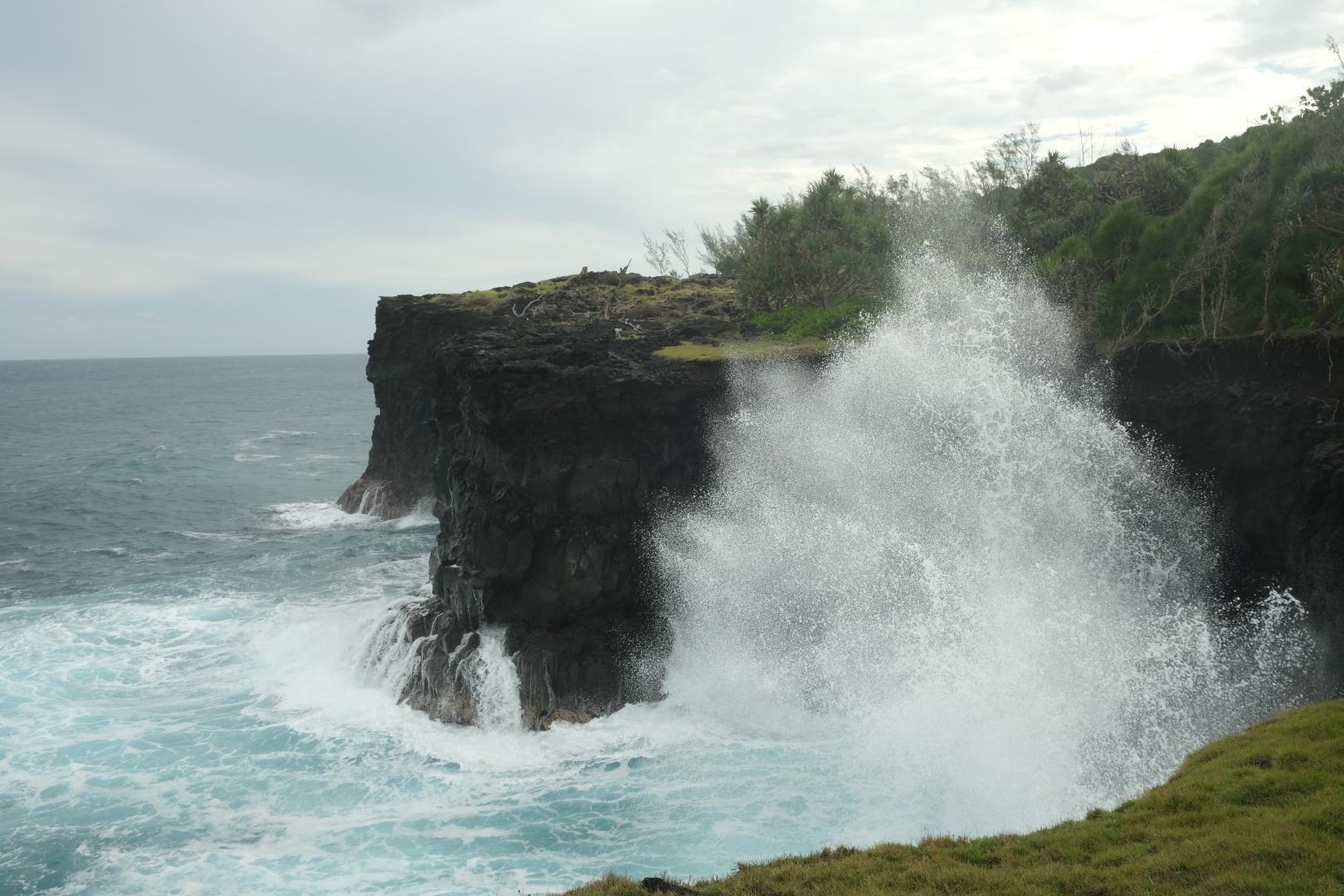 Lustige Viecher leben im Le Souffleur. Gleich nebendran schlagen die Wellen mit Kraft an die schwarzen Lavafelsen; die Gischt spritzt hoch.