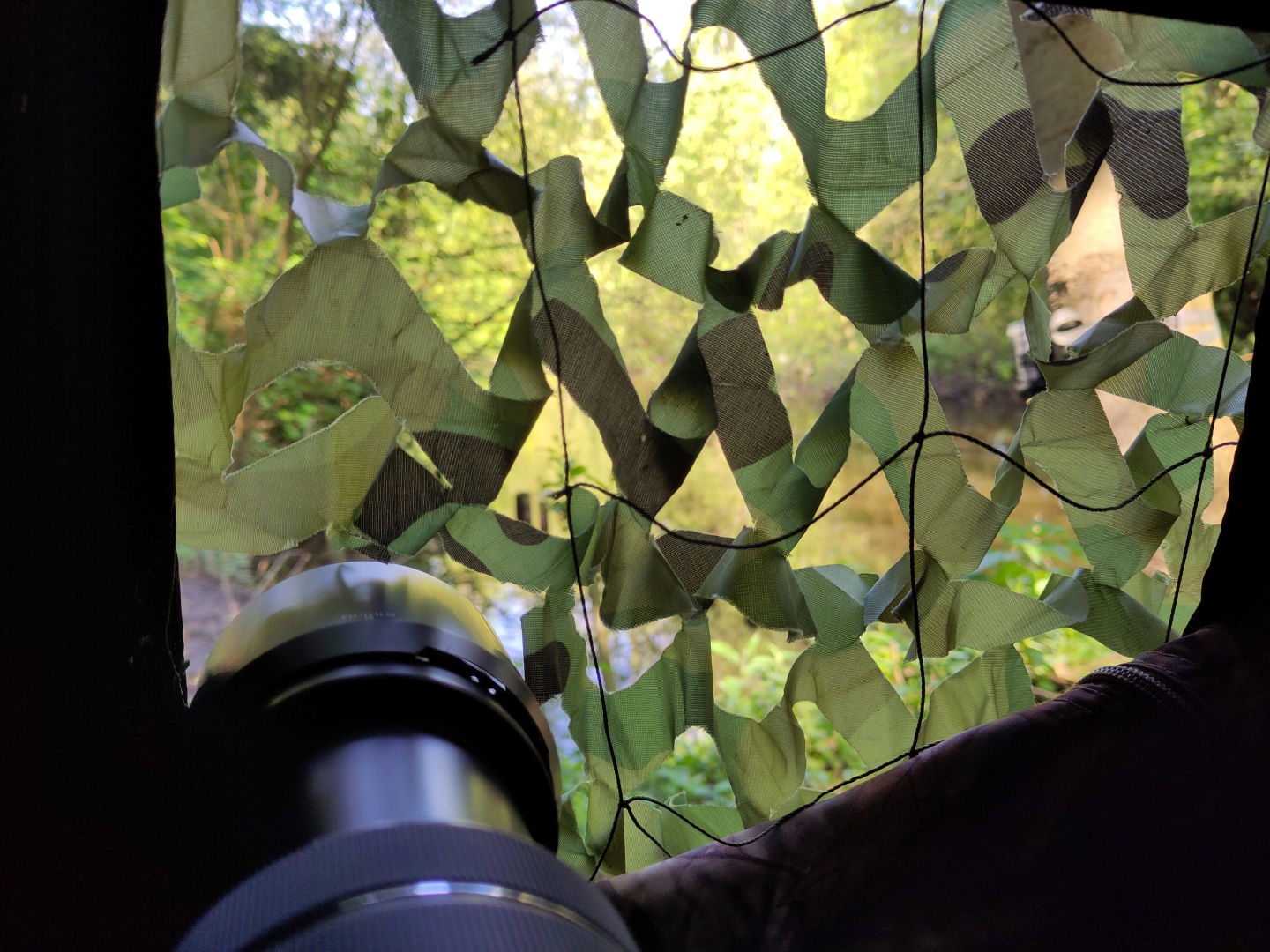 Blick aus dem Tarnzelt.