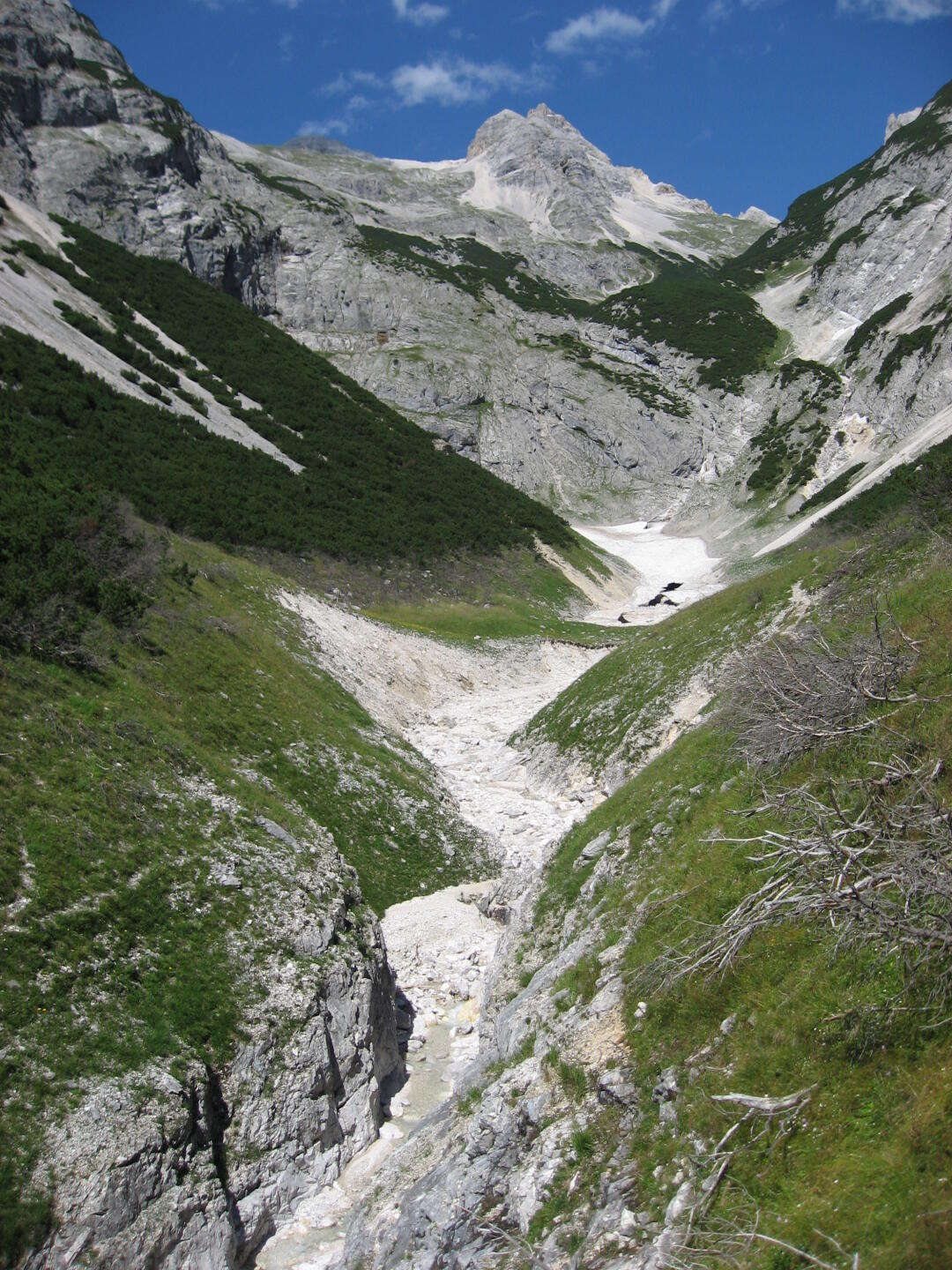 Das Tal des Birkkarbaches.