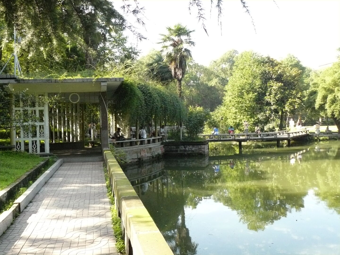 There are a lot of resting areas with numerous plants on the campus. During the day, students sit there to rehearse their studies, and in the night, they sit there kissing...