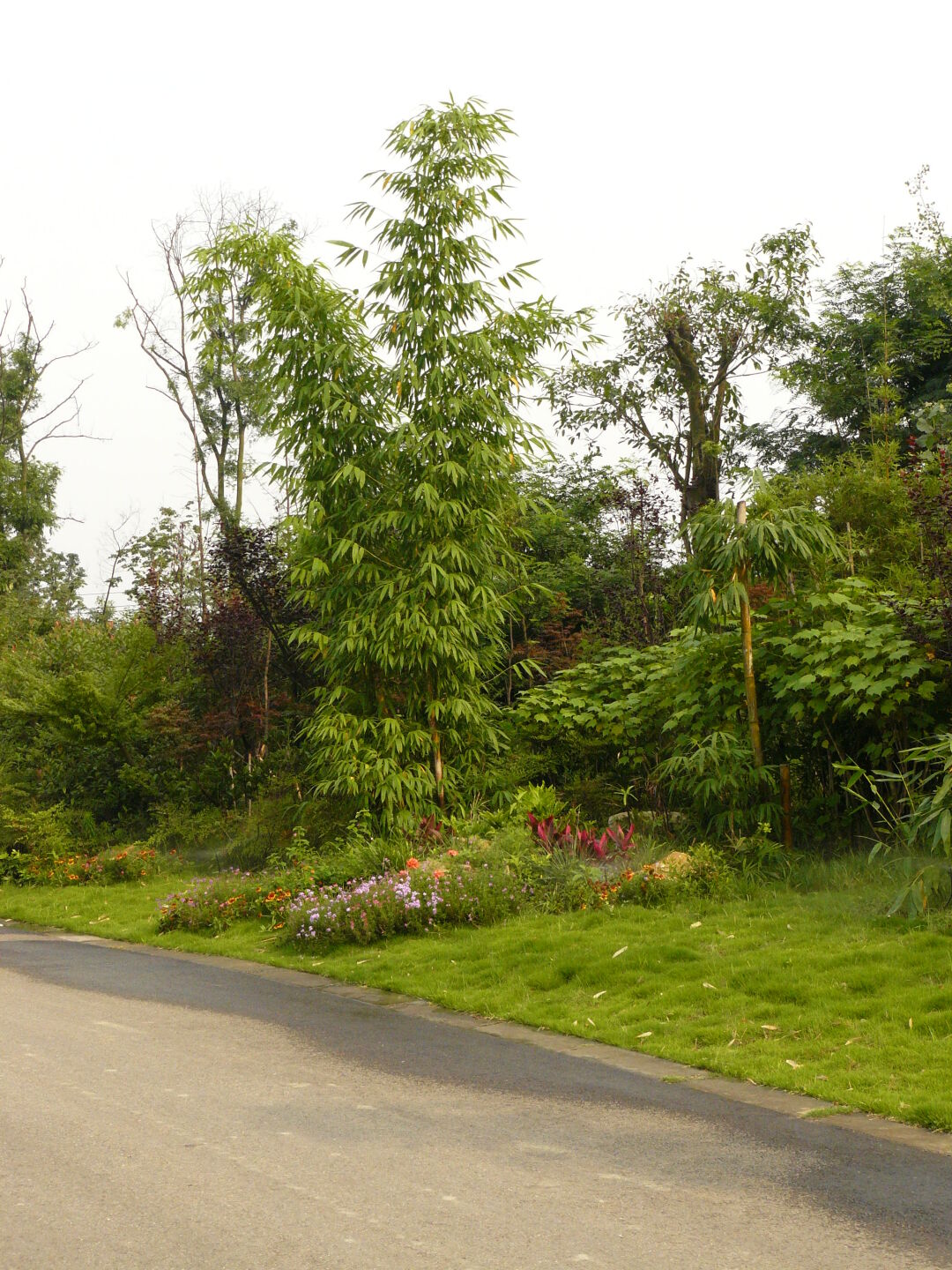 The area was quite large, park-like, and nicely planted.