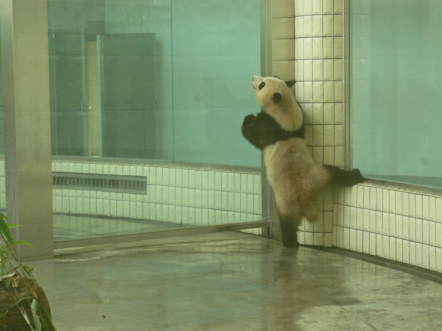 Early morning gymnastics.