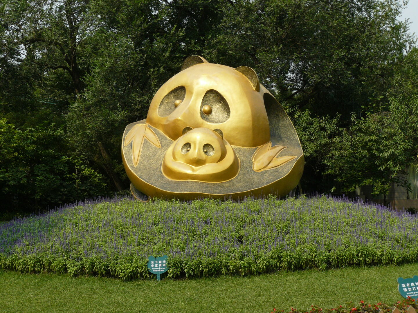 A visit to the Chengdu research base of giant panda breeding.