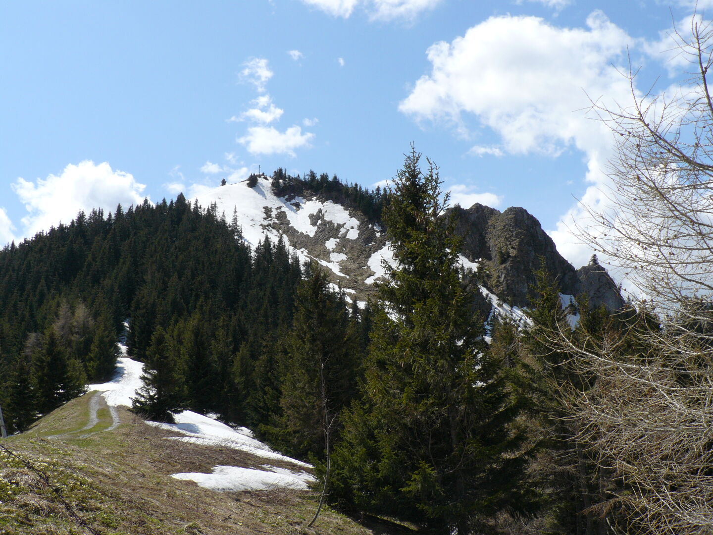 Blick auf's Feichteck