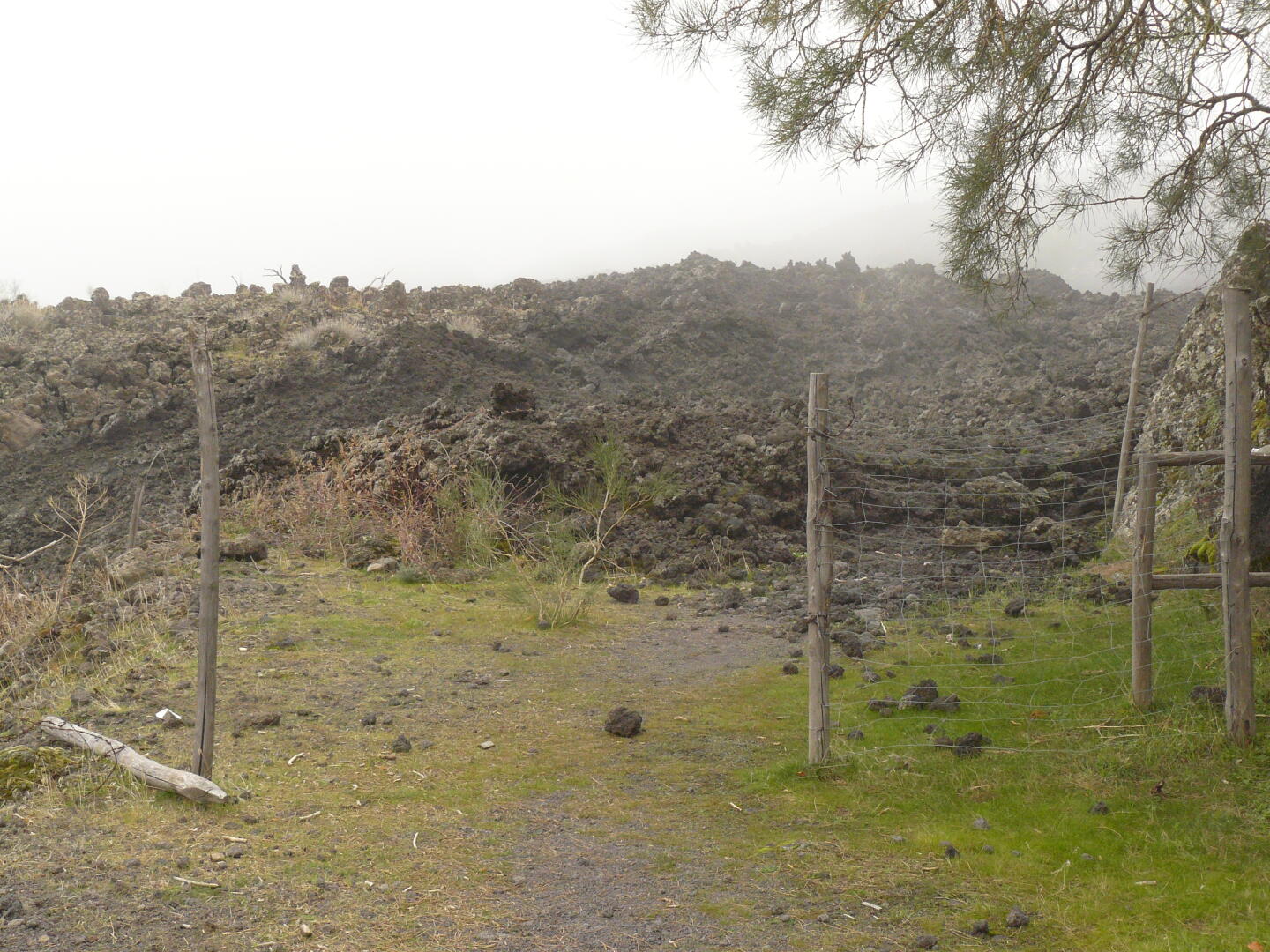 Hier war mal ein Weg.