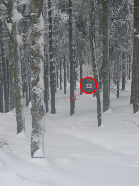 Man muß schon genau hingucken, um den Weg zu finden.