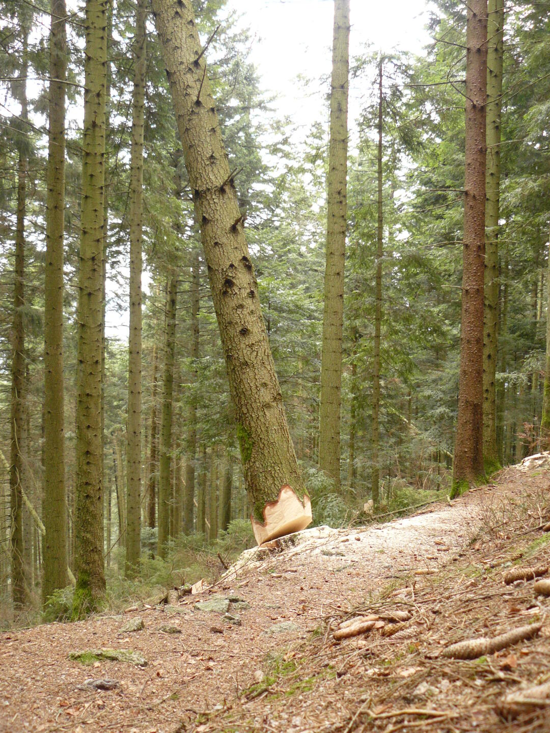 Hier hatte es wohl jemand sehr eilig mit dem Feierabend.