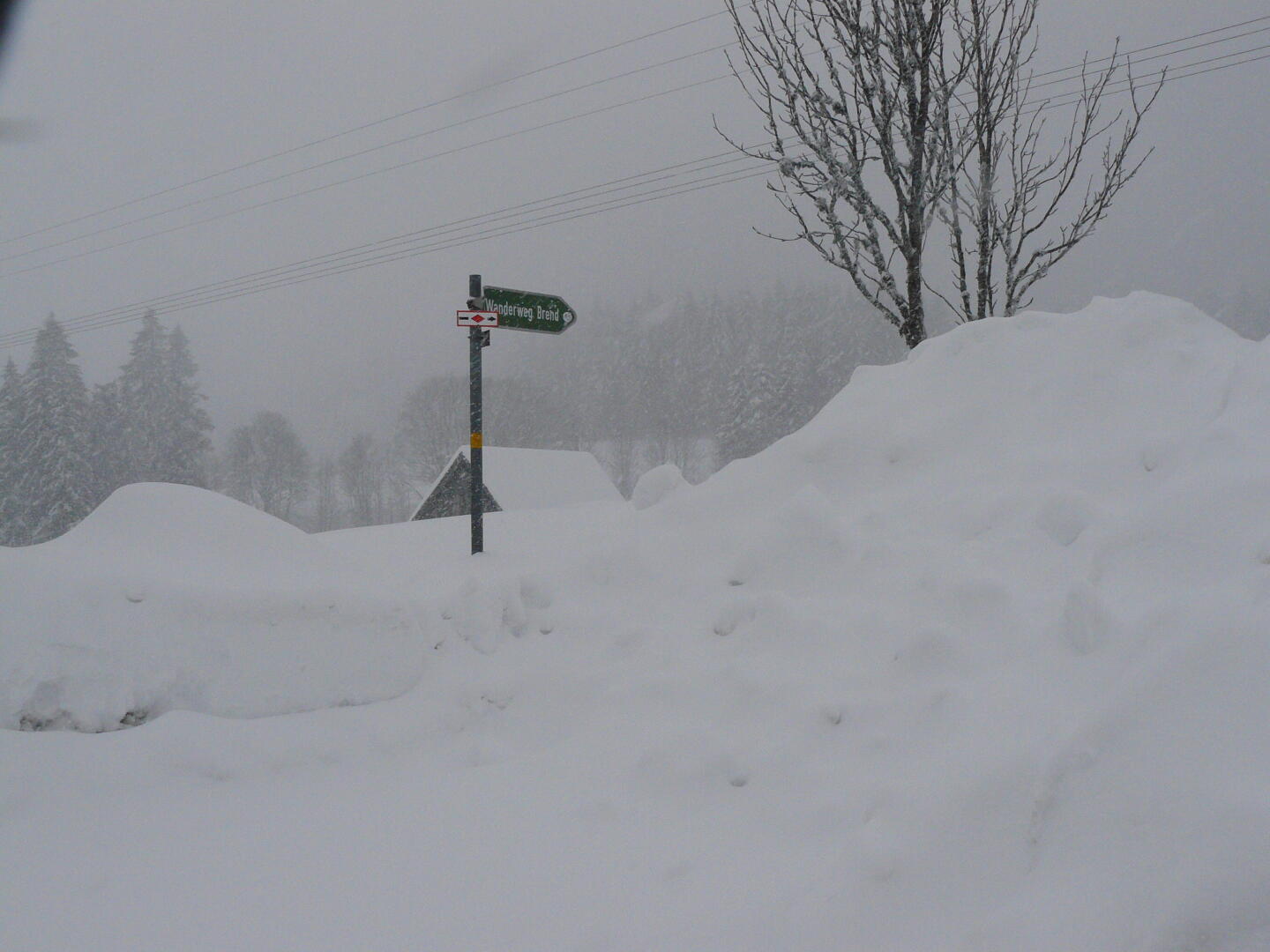 Dieser Wegweiser hilft nicht wirklich weiter.