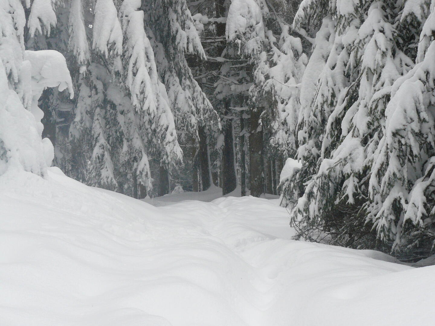 Immer weiterstapfen...